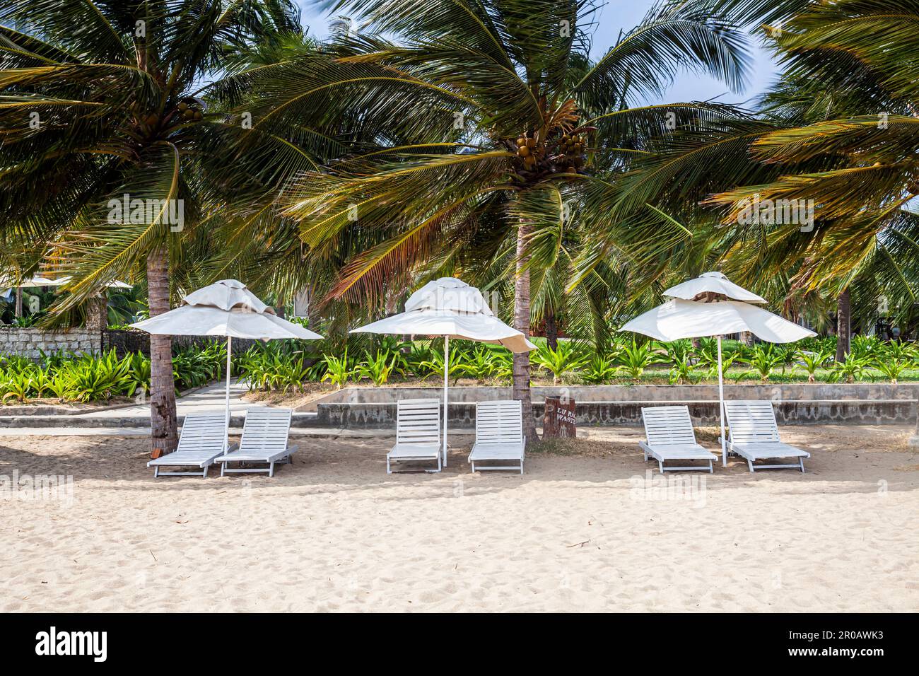 Plage avec parasols et chaises longues, Hôtel Saigon Ninh Chu Resort, Phan rang, Mer de Chine du Sud, province de Ninh Thuan, Phan rang, Vietnam, asie Banque D'Images