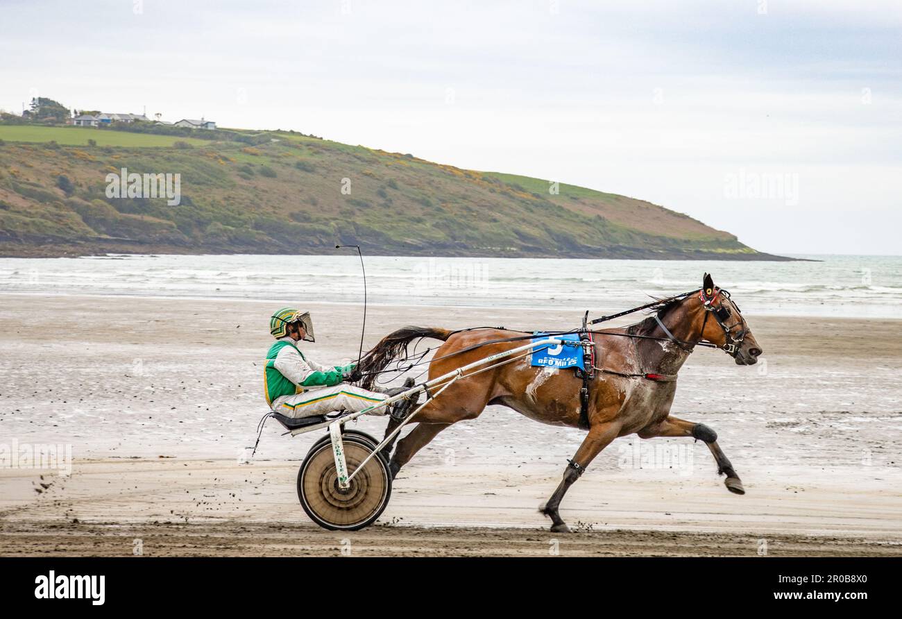 Harness Racing à Harbor View Beach, Kilbrittain, Co. Cork. Mai 2023 Banque D'Images