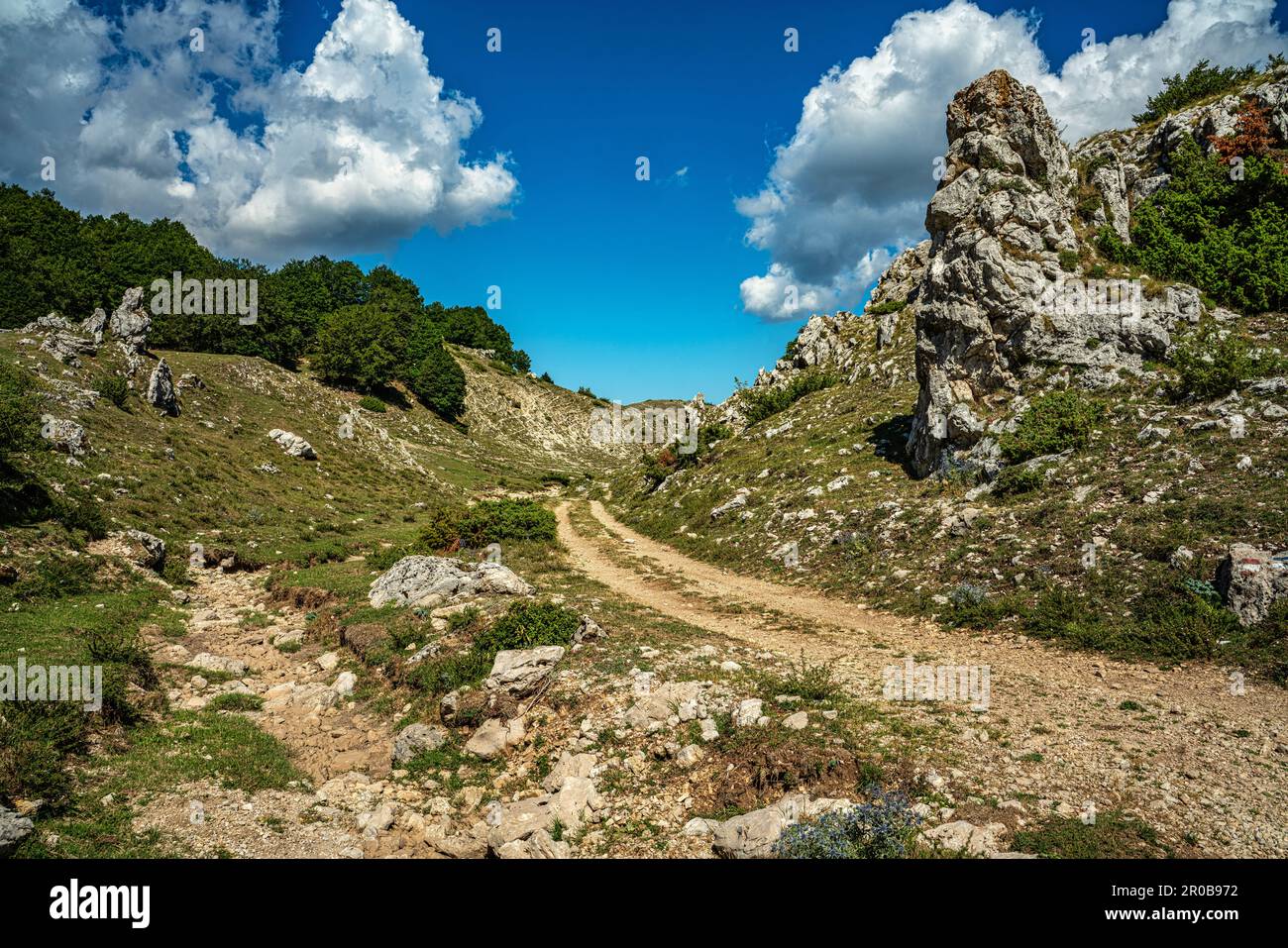 Campo della Pietra.robuste karst plateaux et bois de hêtre frais le long de la piste qui mène au sanctuaire de la Sainte Trinité de Vallepietra Banque D'Images