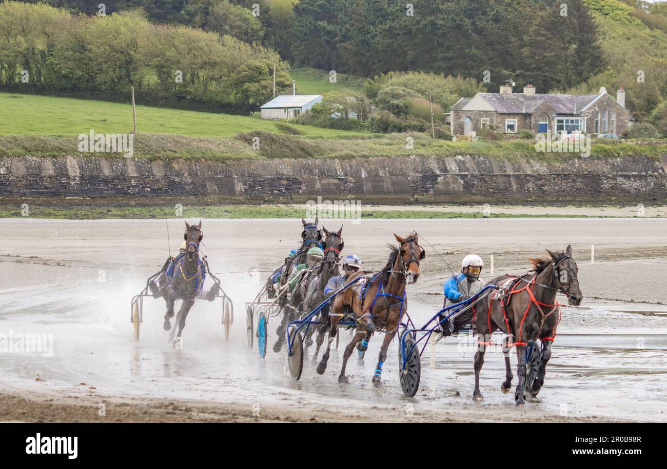 Harness Racing à Harbor View Beach, Kilbrittain, Co. Cork. Mai 2023 Banque D'Images