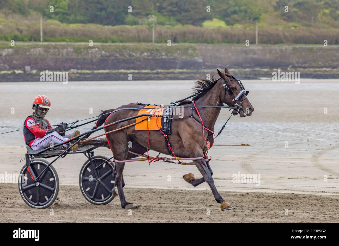 Harness Racing à Harbor View Beach, Kilbrittain, Co. Cork. Mai 2023 Banque D'Images