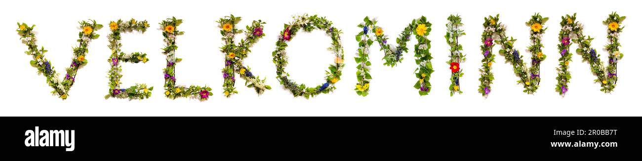 Fleurs colorées Mot de construction Velkominn, arrière-plan isolé Banque D'Images