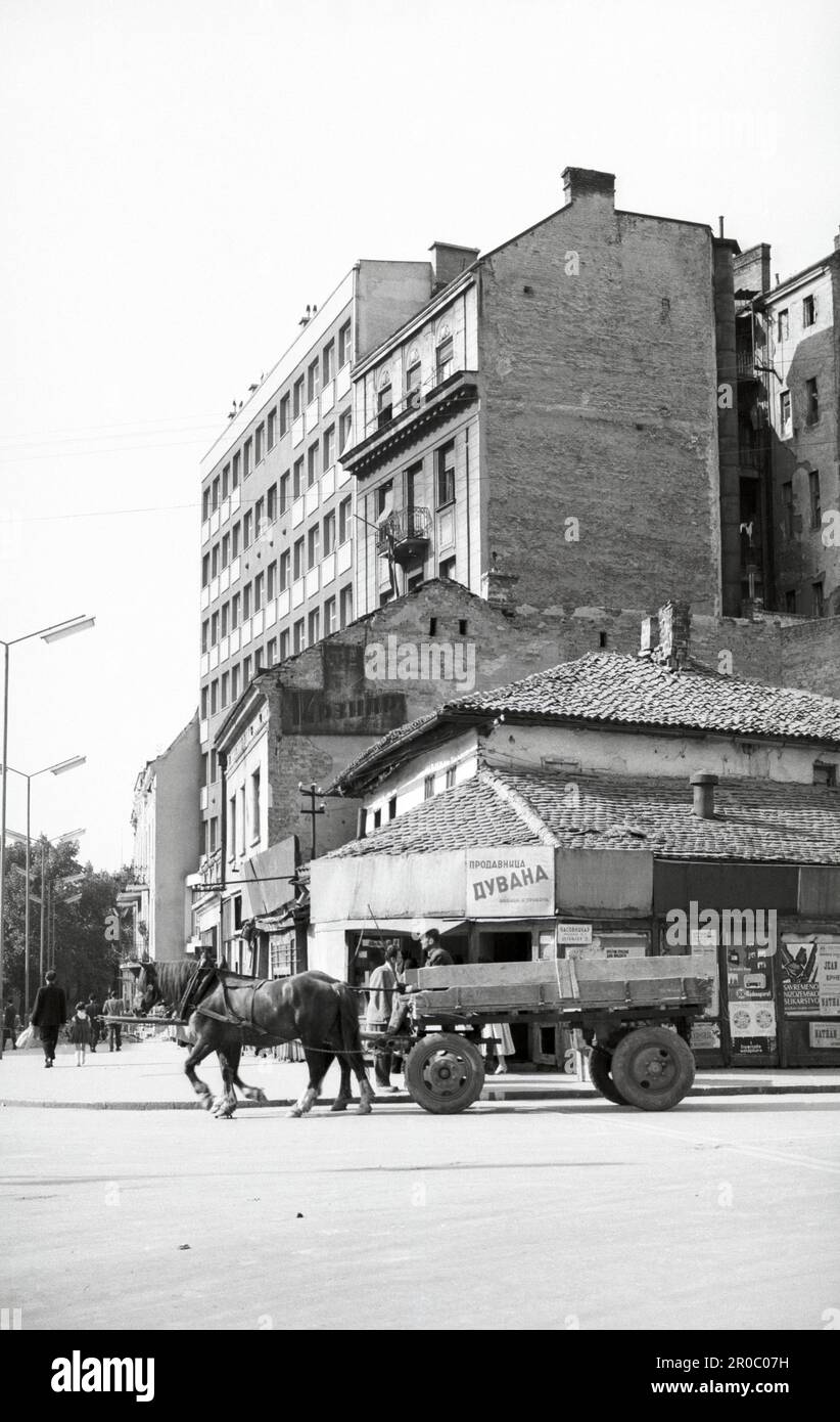 Calèche dans une rue, Belgrade, Serbie, Europe, mai 1958 Banque D'Images