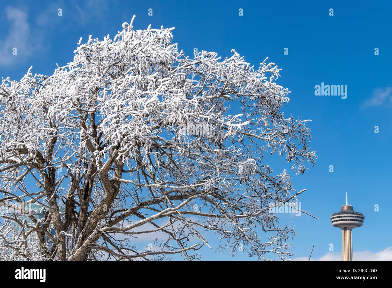 Niagara Falls State Park, NY, États-Unis-février 2023 ; vue d'un arbre blanc givré à Prospect point à la suite des projections d'eau provenant des chutes avec de l'obse Banque D'Images