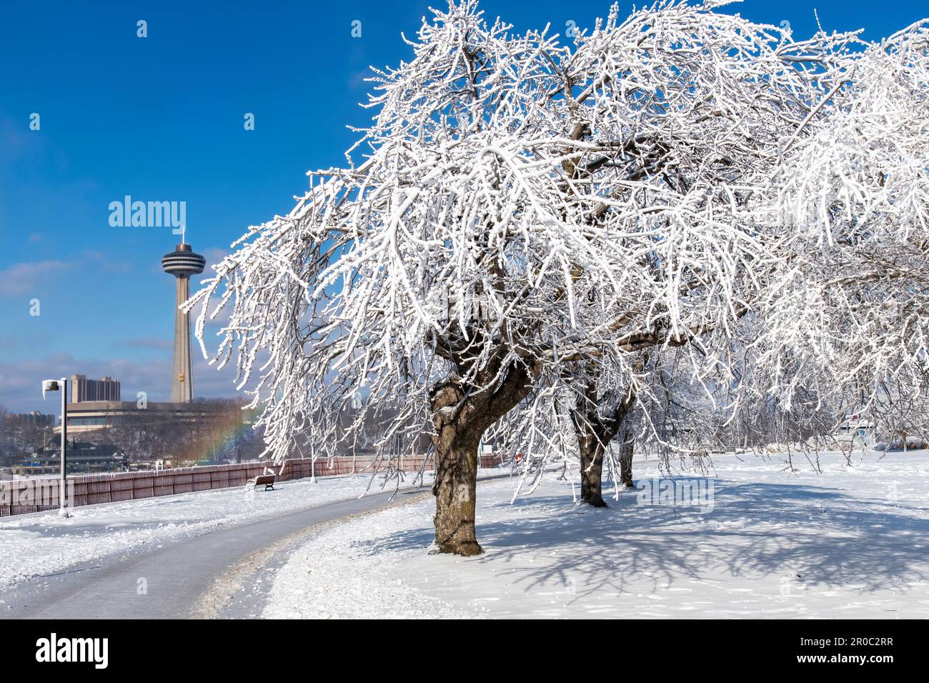 Niagara Falls State Park, NY, États-Unis-février 2023 ; vue sur les arbres blancs givrés à Prospect point à la suite des projections d'eau provenant des chutes Banque D'Images