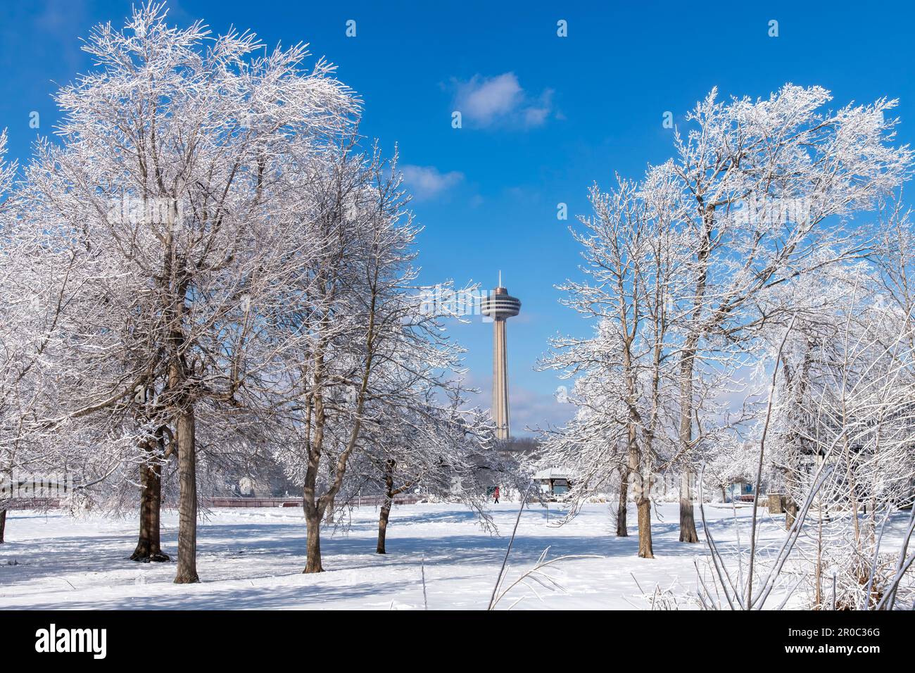 Niagara Falls State Park, NY, États-Unis-février 2023 ; vue sur les arbres blancs givrés à Prospect point à la suite des projections d'eau provenant des chutes Banque D'Images