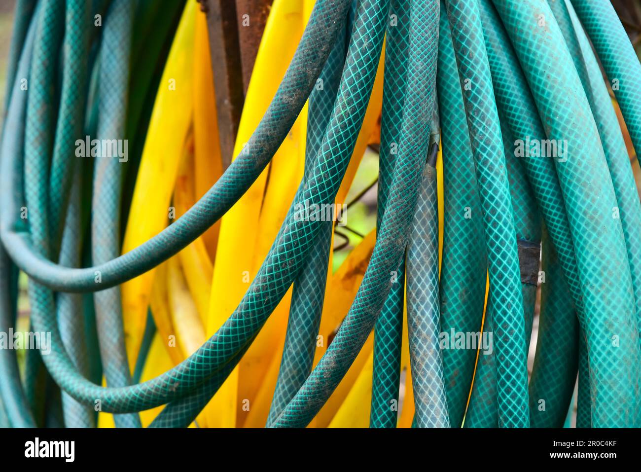 Tuyau d'arrosage. Tuyaux d'arrosage à la saleté repliés dans des anneaux extérieurs. Banque D'Images