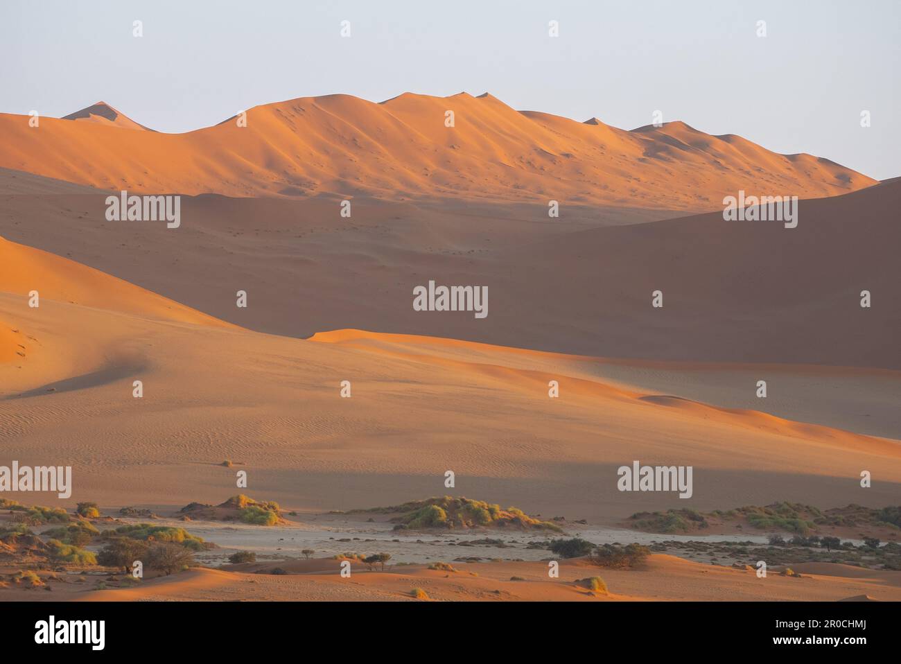 Photographie aérienne des dunes de sable rouge, Sossusvlei, parc national Namib-Naukluft, Namibie. La couleur rouge indique l'âge de cette dune A. Banque D'Images