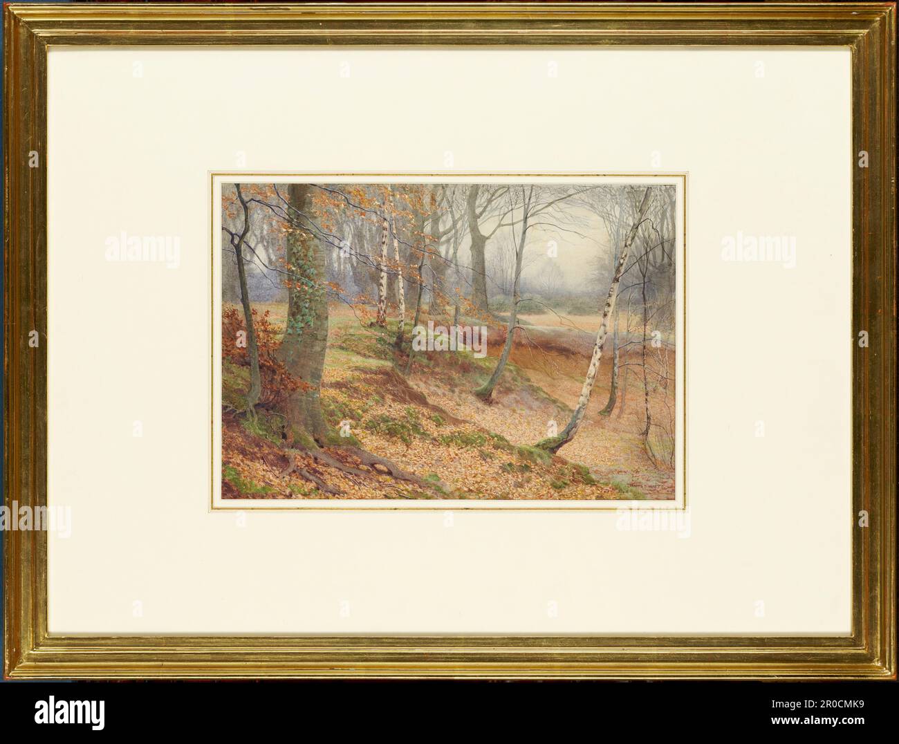 Bouleau argenté et Bois de hêtre à l'automne, vers 1853-1931. James Watts Jnr Banque D'Images