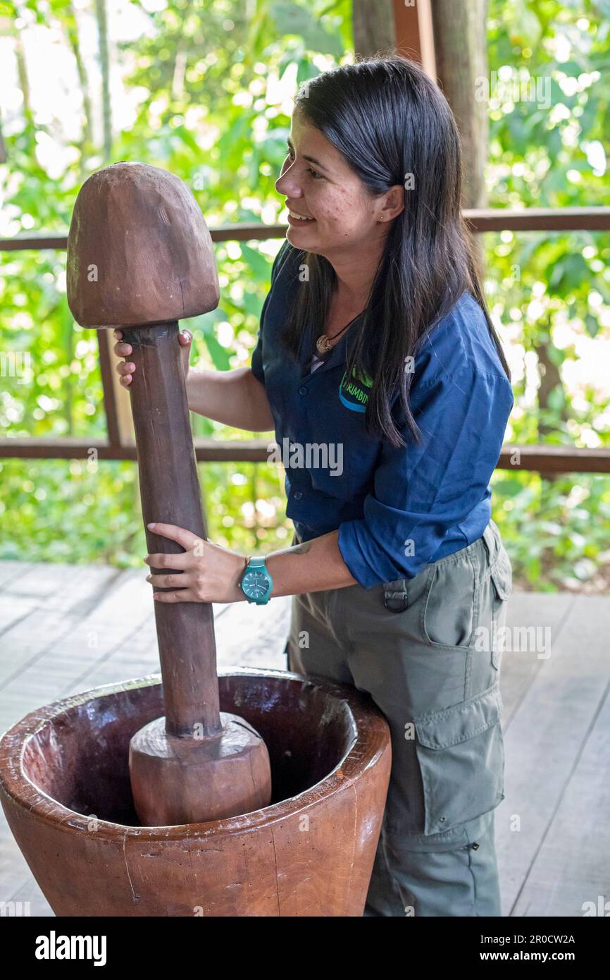 La Virgen, Costa Rica - les visiteurs de la station de recherche Tirimbina apprennent à connaître la plante de cacao et comment le chocolat est fait à partir de fèves de cacao. Un guide touristique Banque D'Images