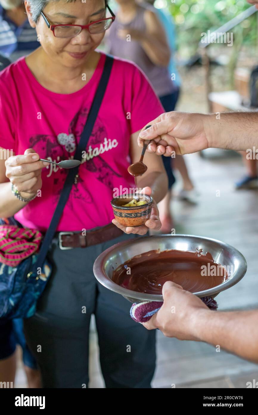 La Virgen, Costa Rica - les visiteurs de la station de recherche Tirimbina apprennent à connaître la plante de cacao et comment le chocolat est fait à partir de fèves de cacao. Banque D'Images