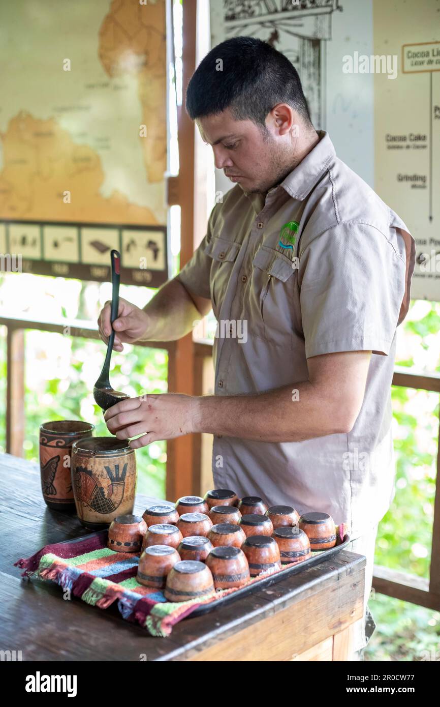 La Virgen, Costa Rica - les visiteurs de la station de recherche Tirimbina apprennent à connaître la plante de cacao et comment le chocolat est fait à partir de fèves de cacao. Banque D'Images