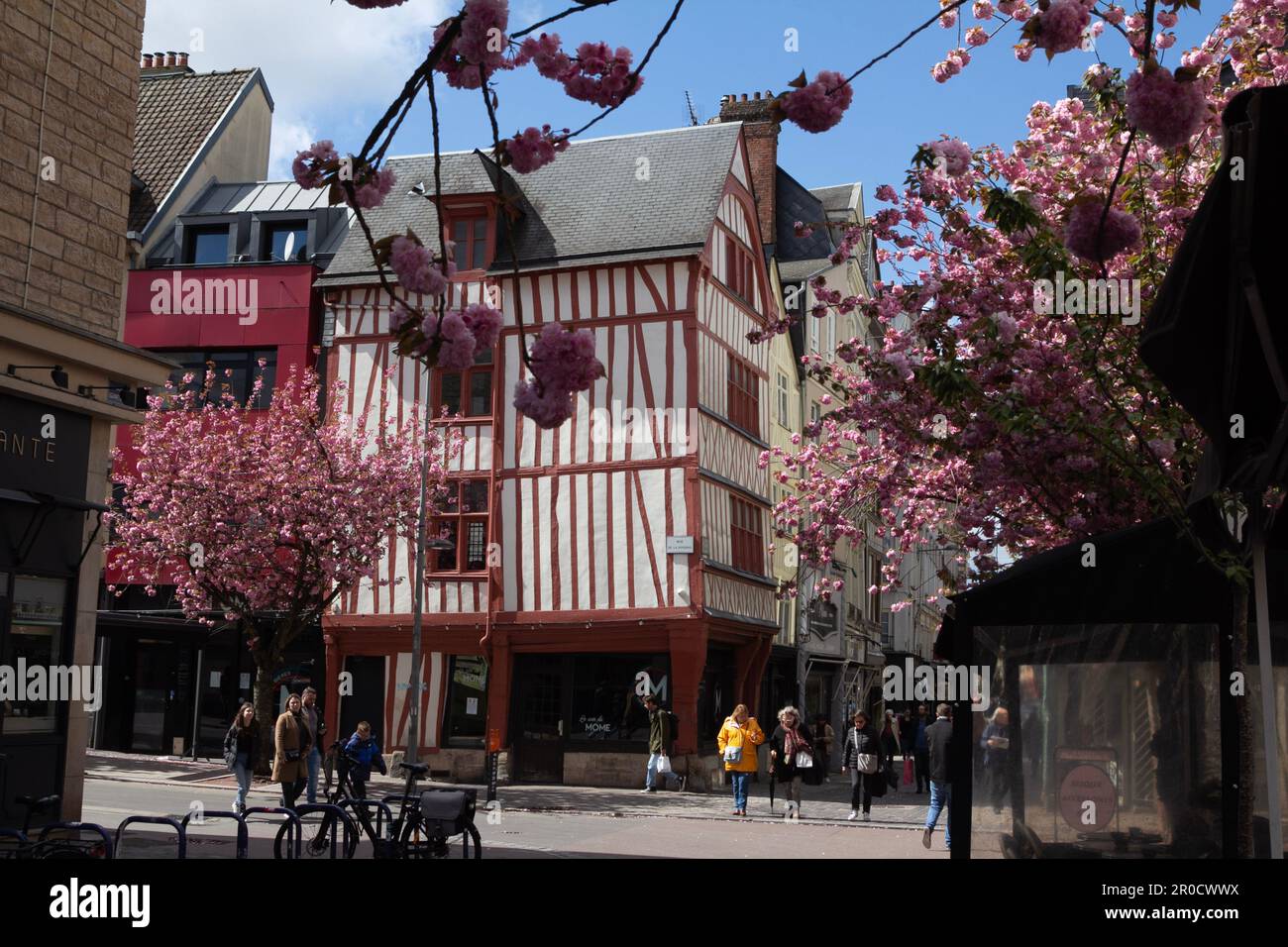 Rouen, France, vieille ville rue piétonne avec maison à colombages rouge et cerisier en fleur rose. Banque D'Images