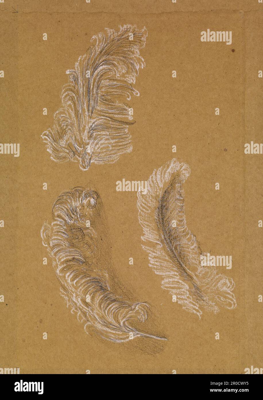 Étude de trois plumes d'autruche, 1865-67. Artiste: Edward Burne-Jones Banque D'Images