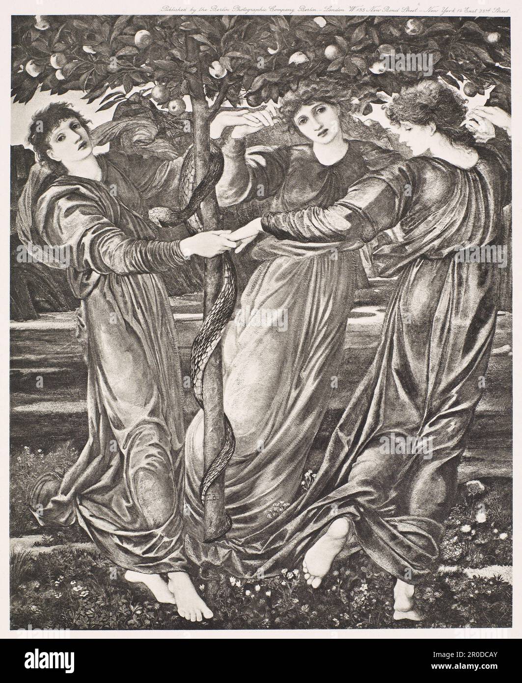Le jardin des Hesperides,1900. Après : Sir Edward Burne-Jones (d.1898). Éditeur: Berlin Photographic Company Banque D'Images