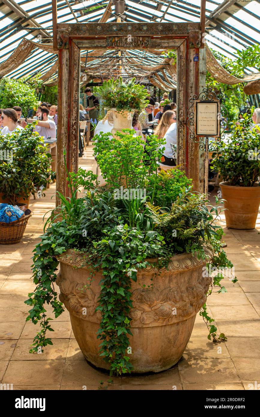 Salles à manger à Petersham Nurseries, un centre de jardin haut de gamme à Richmond, Surrey Banque D'Images