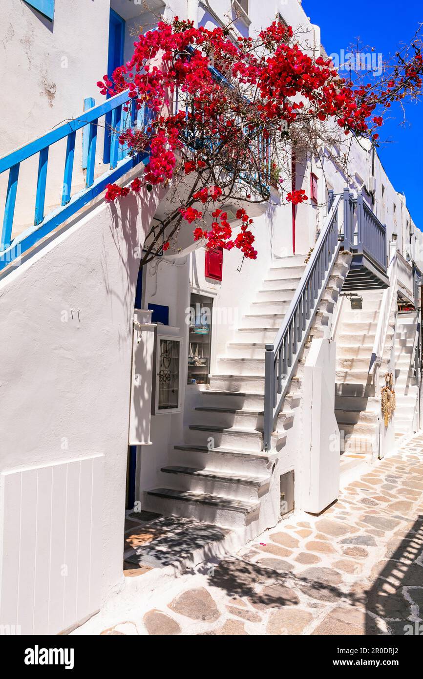 Authentique Grèce traditionnelle. Île de Mykonos. Charmantes rues fleuries colorées du vieux village de Chora. Cyclades Banque D'Images Authentique Grèce traditionnelle. Île de Mykonos. Charmantes rues fleuries colorées du vieux village de Chora. Cyclades Banque D'Images