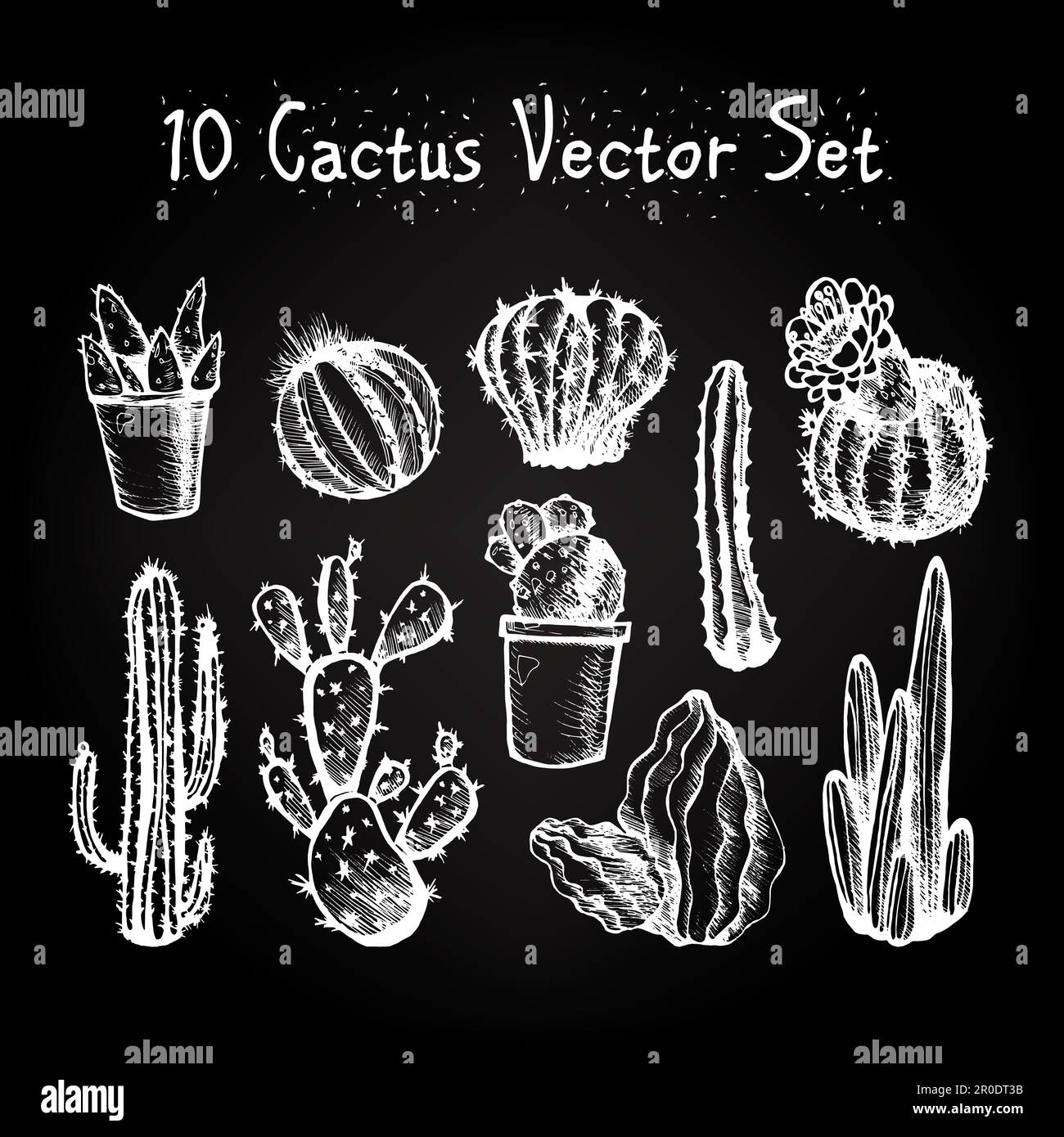 Cactus isolé dessiné à la main. Cactus en style vintage pour les textiles, l'impression et la gravure. Line-art. Vector Illustration de Vecteur