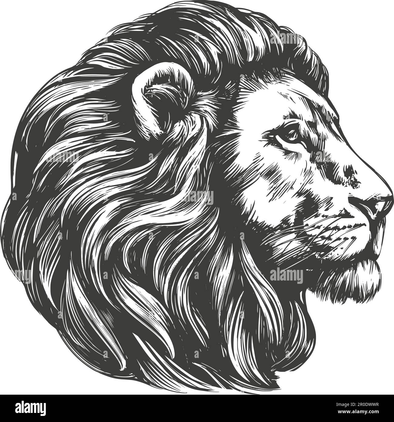 lion animal, roi des bêtes, dessin d'illustration vectorielle dessiné à la main. Illustration de Vecteur