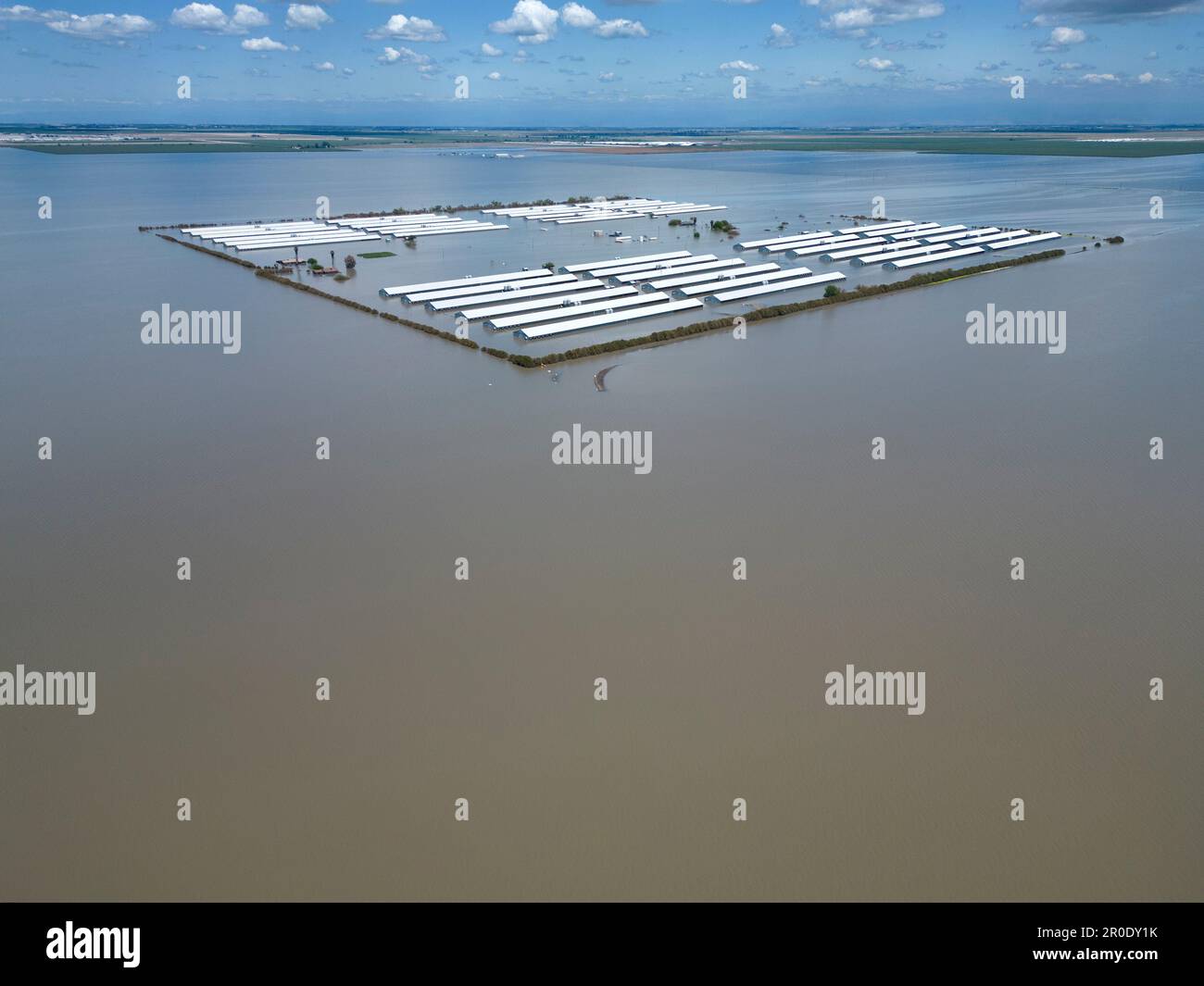 Enclos de stock inondés en raison de la montée des eaux du lac Tulare Banque D'Images