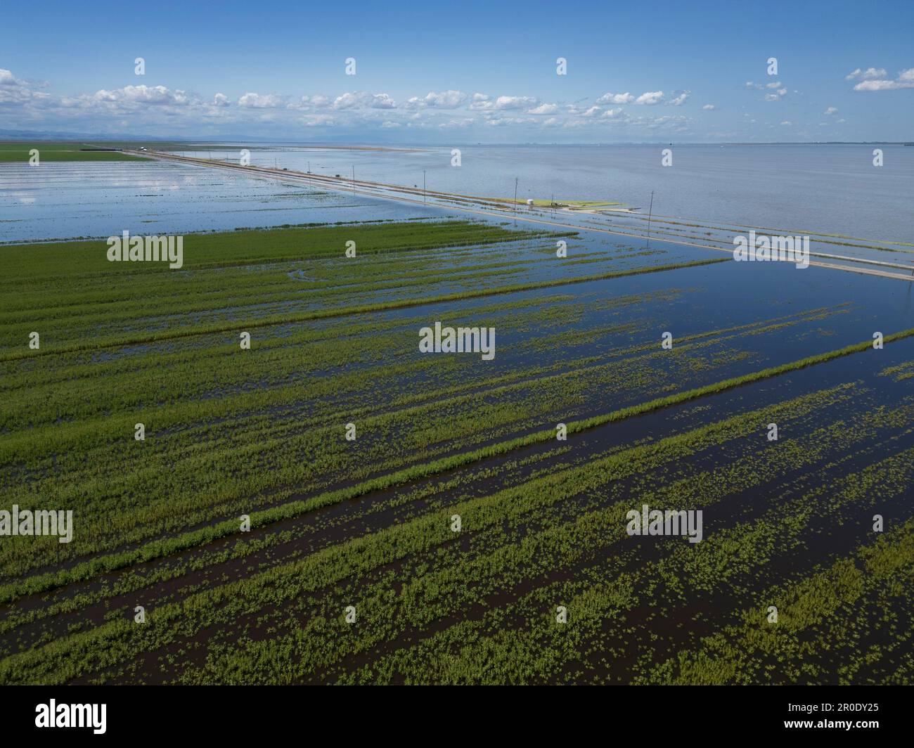 Le lac Tulare empiète sur les champs plantés dans la vallée de San Joaquin Banque D'Images