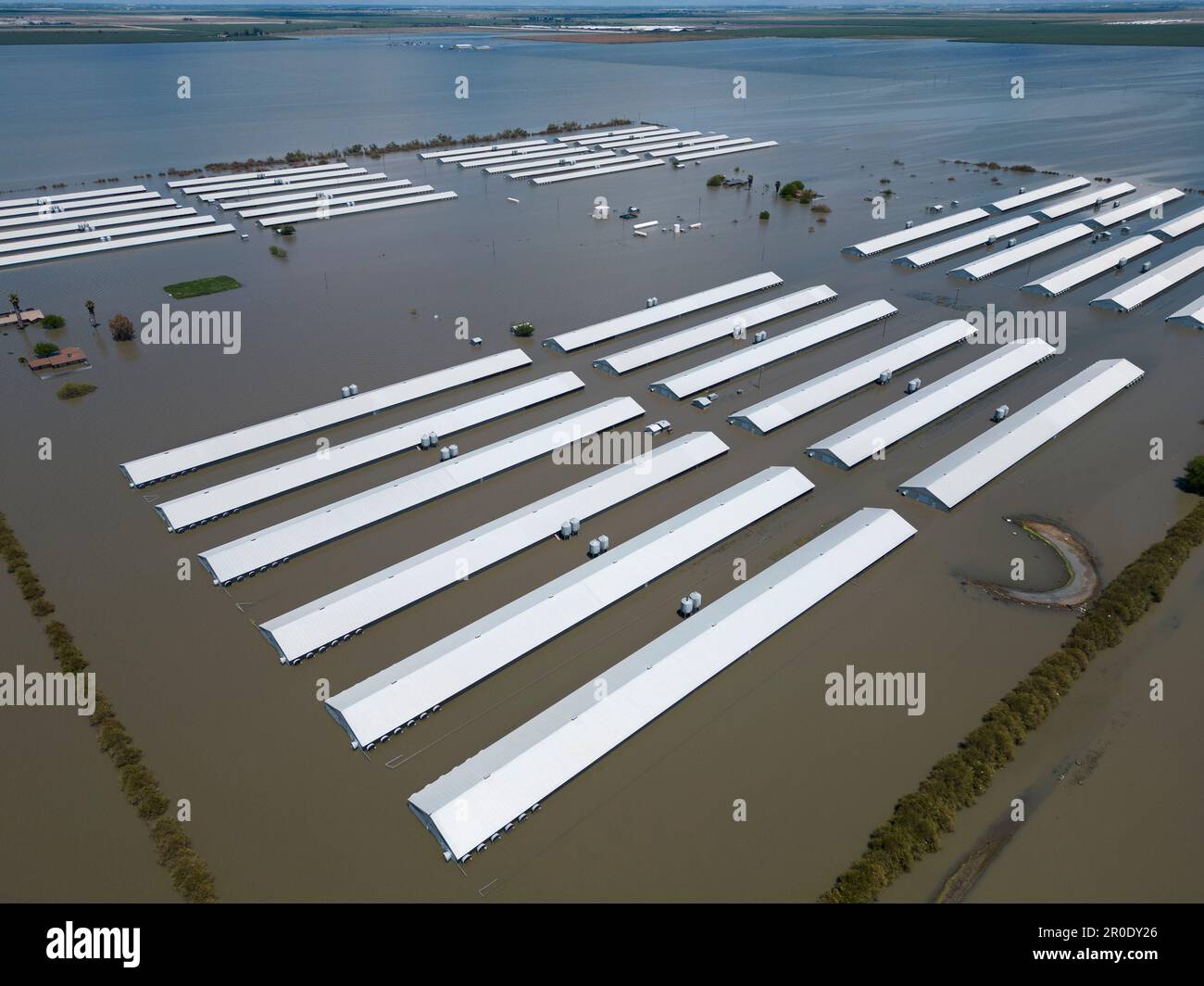 Les bâtiments de production de poulet inondés par le lac Tulare lors des inondations du printemps 2023 Banque D'Images