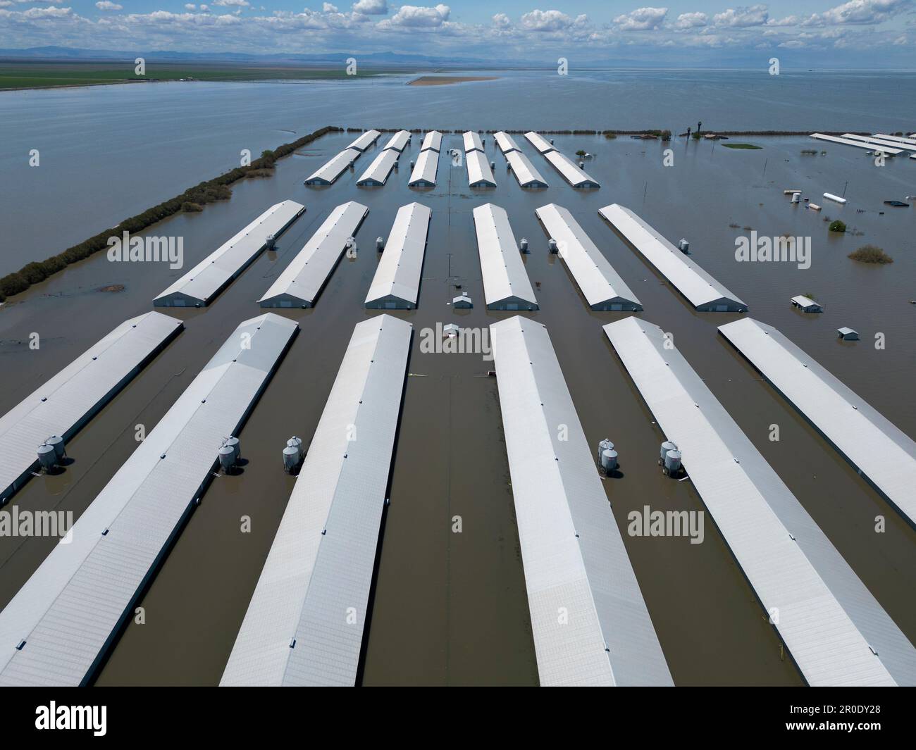 Les bâtiments de production de poulet inondés par le lac Tulare lors des inondations du printemps 2023 Banque D'Images