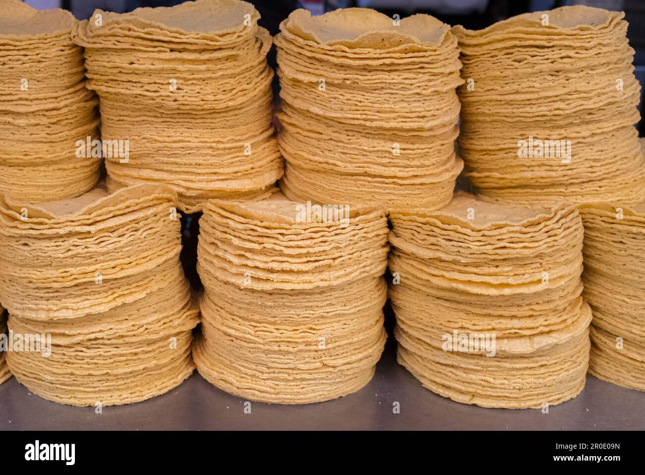 Tortillas frais, Merida, Mexique Banque D'Images