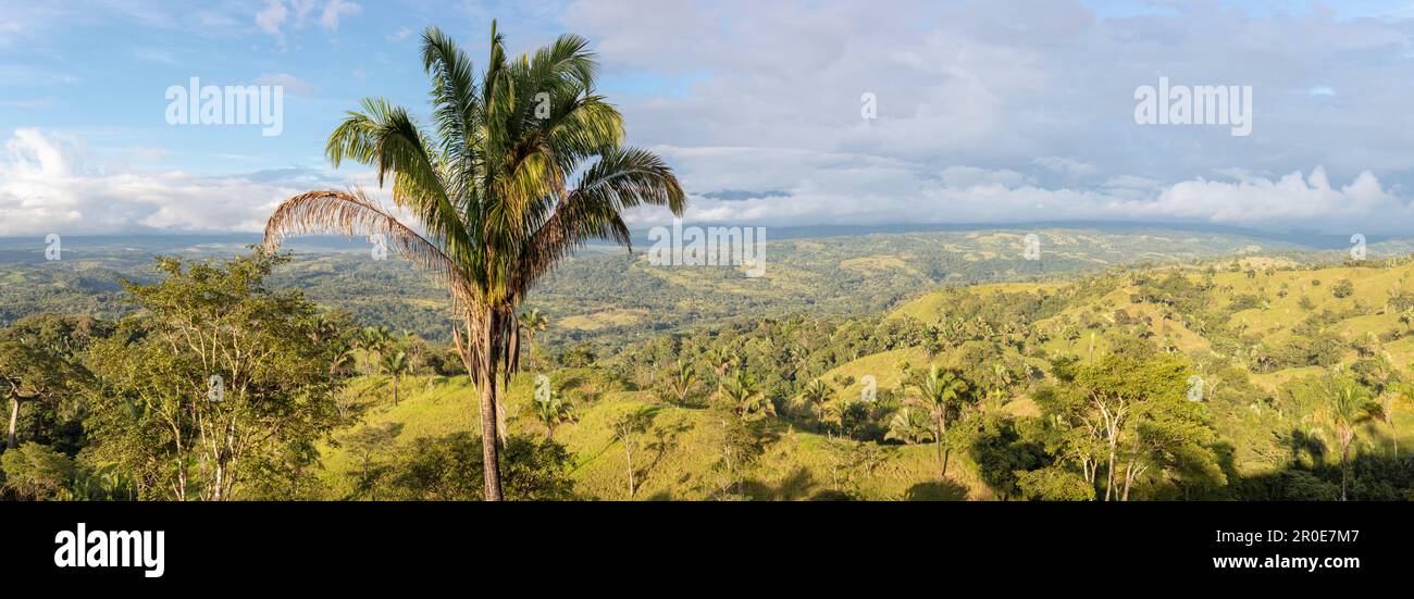Valle El Coto Brus, Costa Rica, Amérique centrale Banque D'Images