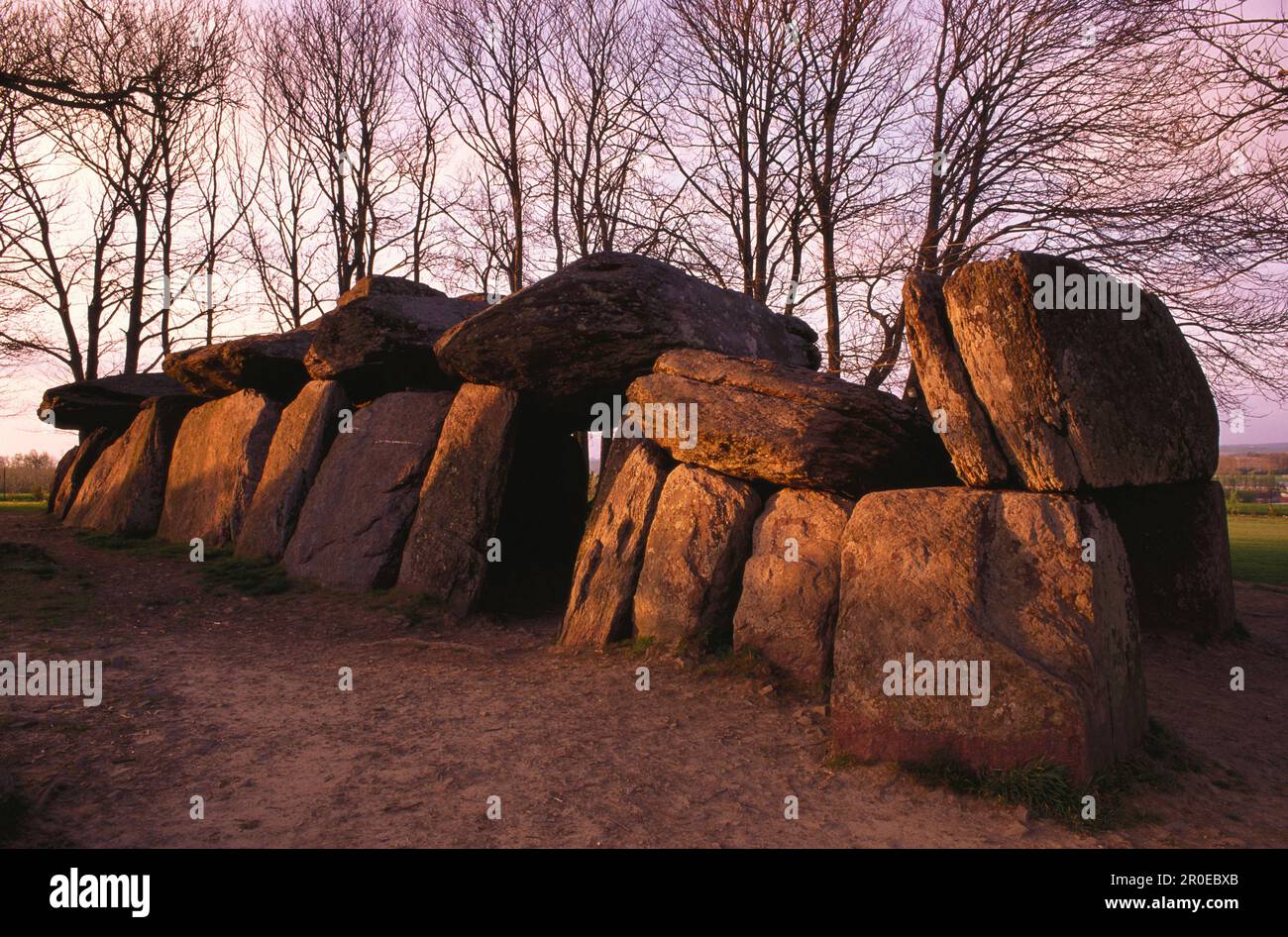 Formations rocheuses préhistoriques, Dolmen, la Roche aux Fées, Ile et Vilaine, Bretagne, France Banque D'Images