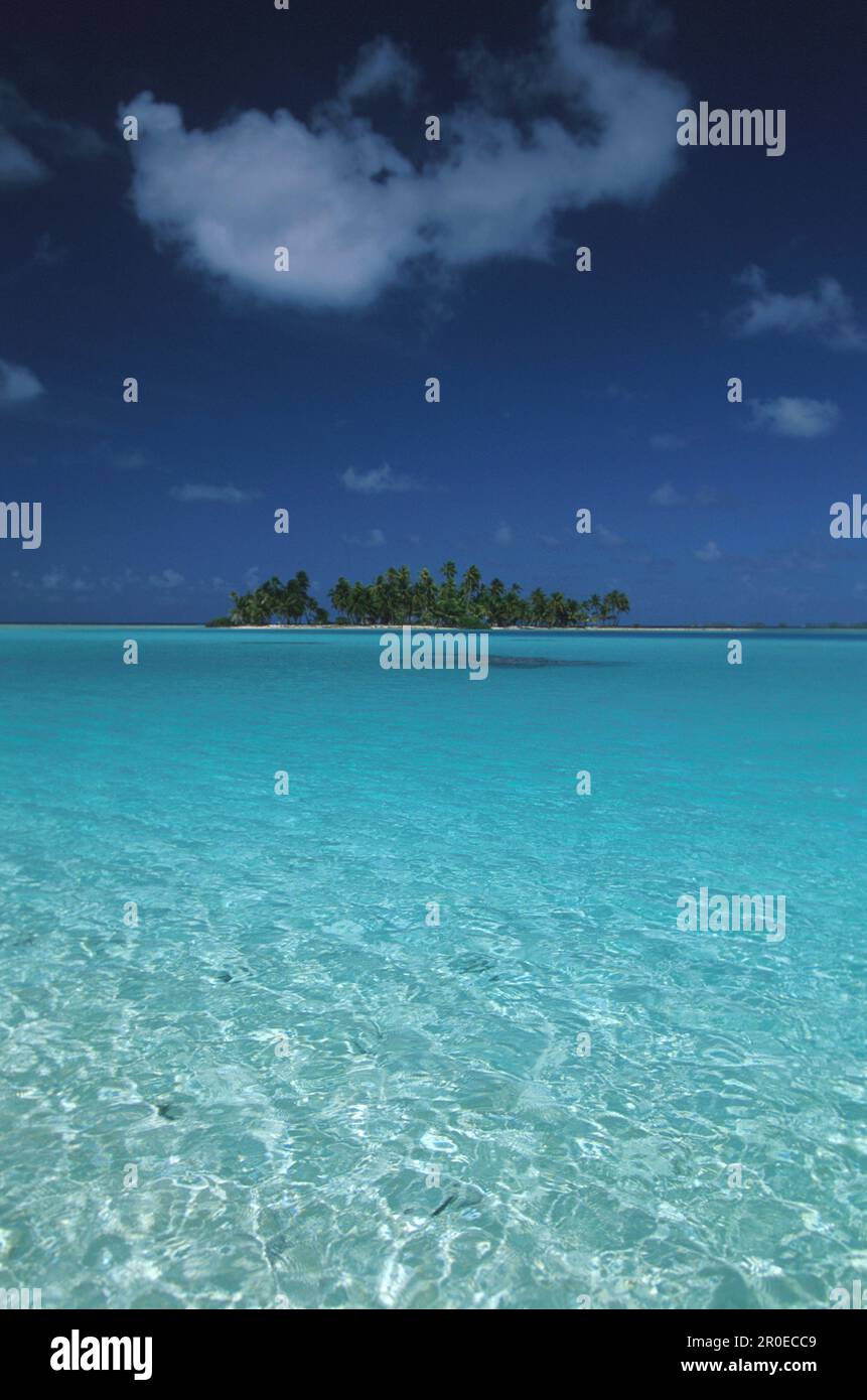 Insel Motu an Blauer Lagune, Atoll Rangiroa, Tuamotu Inseln Franzoesisch Polynésien Banque D'Images