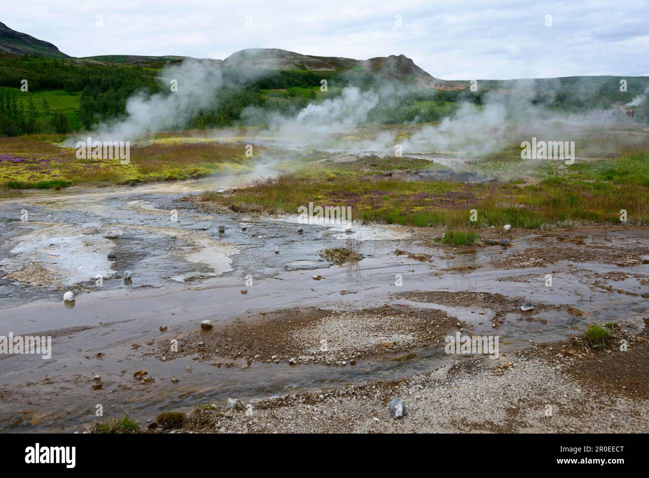 Zone thermale, Haukadalur, Islande Banque D'Images