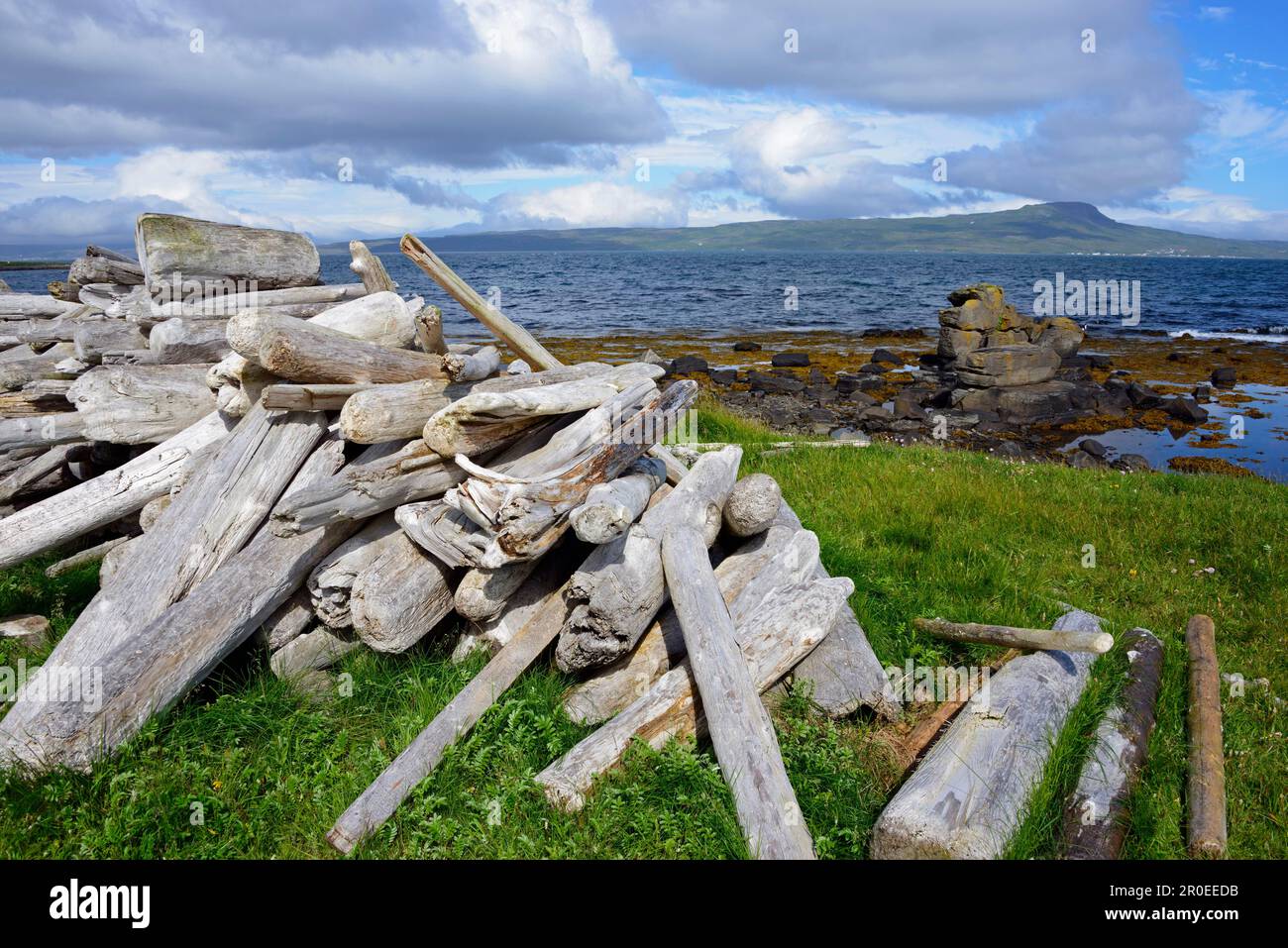 Driftwood, près de Smahamrar, route 68, Westfjords, Islande Banque D'Images