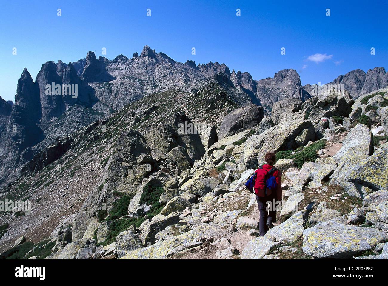 Femme randonnée sur la route GR 20, Tightrope Walk, Resto a Valley, Corse, France Banque D'Images