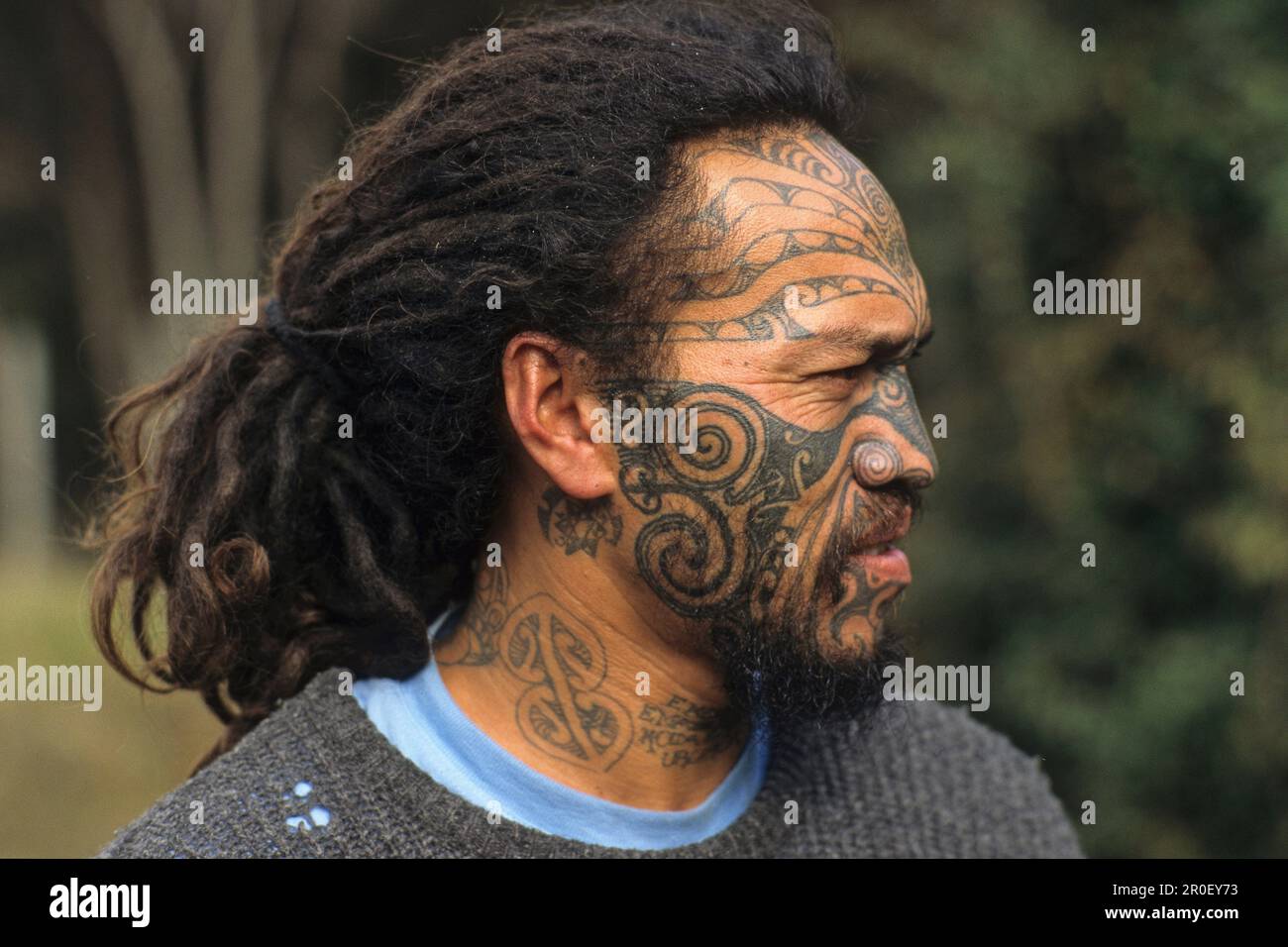 Portrait d'un maori avec tatouage visage moko, Île du Nord, Nouvelle-Zélande, Océanie Banque D'Images