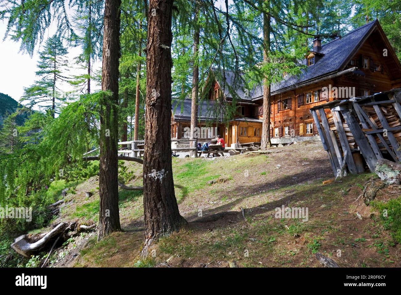 Maison en rondins dans une forêt de mélèze. Cluozza Hut, Cluozza Valley, Val Cluozza, Parc National Suisse, Engadin, Graubuenden, Grisons, Suisse, Alpes Banque D'Images