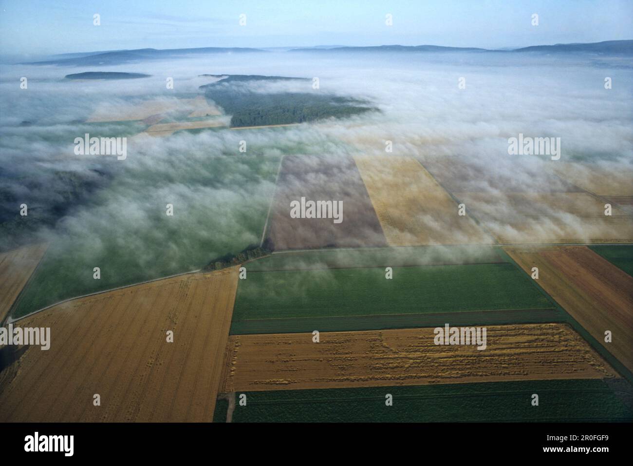 Brouillard sur le paysage de Weserbergland, Basse-Saxe, Allemagne Banque D'Images