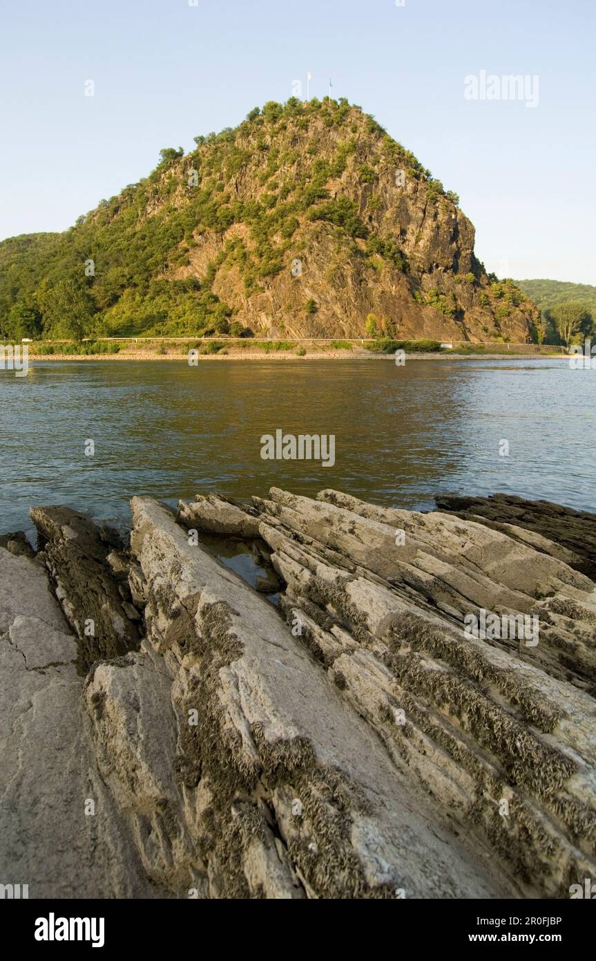 Vue sur le Rhin jusqu'au rocher de Loreley, près de St. Goarhausen, Rhénanie-Palatinat, Allemagne Banque D'Images