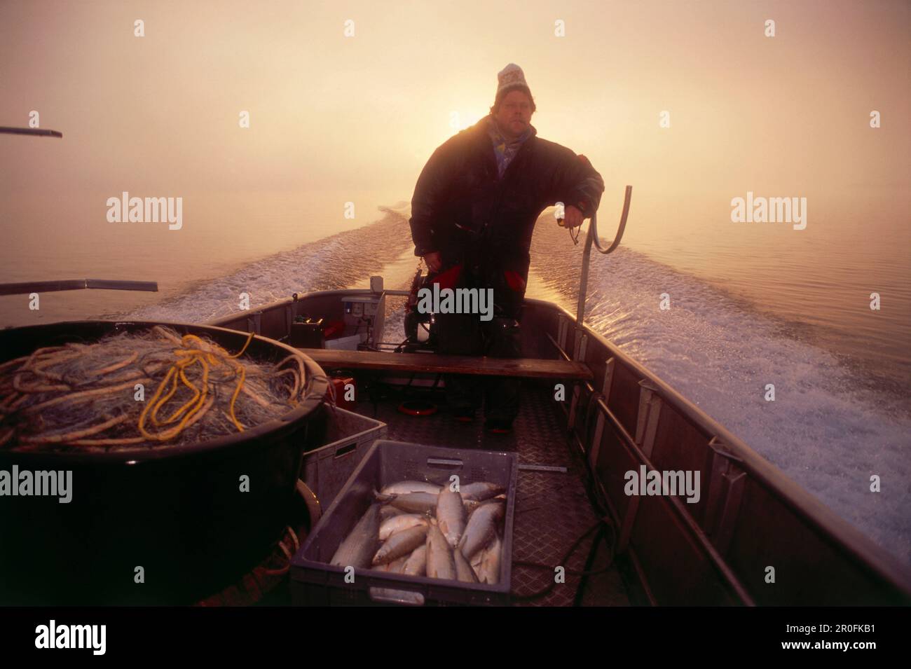 Pêcheur sur le lac Misty Chiem le matin, île Frauenchiemsee, Chiemgau, haute-Bavière, Allemagne Banque D'Images