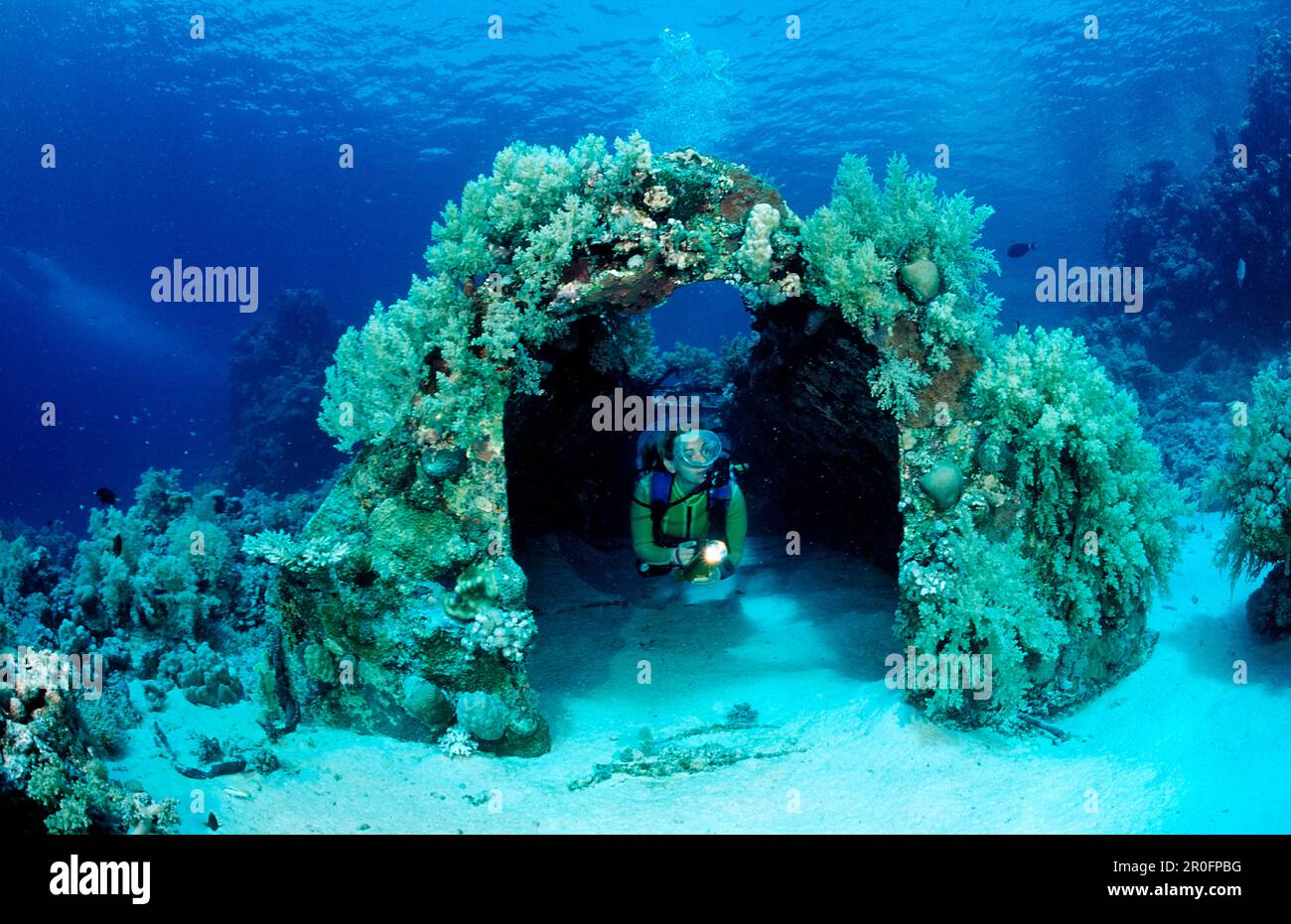 Plongée sous-marine et Jacque Coustaus Precontinent 2, Soudan, Afrique, Mer Rouge, Shaab Rhumi Banque D'Images
