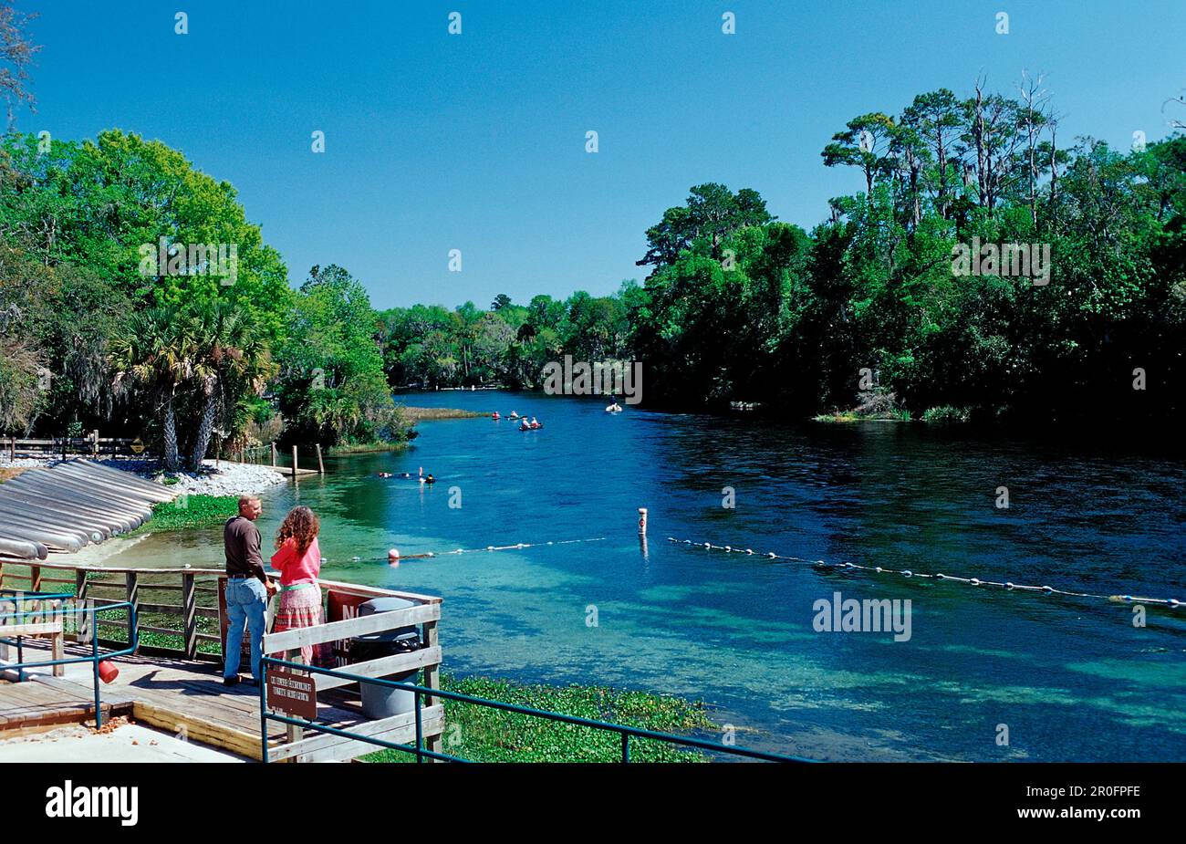 Rainbow River, États-Unis, Floride Banque D'Images