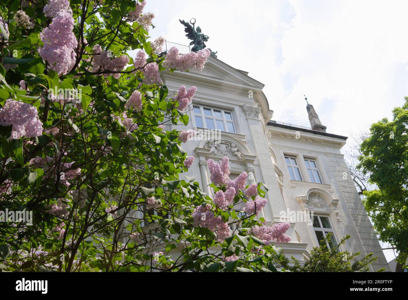 Les lilas fleurissent devant un ancien manoir de Schackstrasse, Maxvorstadt, Munich, Bavière, Allemagne Banque D'Images
