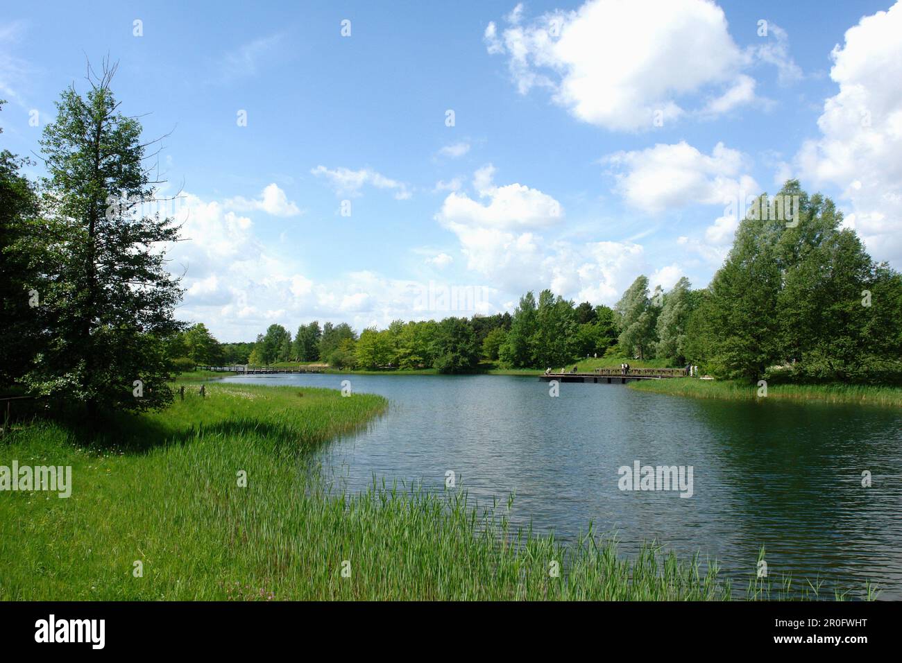 Lac de Britzer Garten, Berlin, Allemagne Banque D'Images