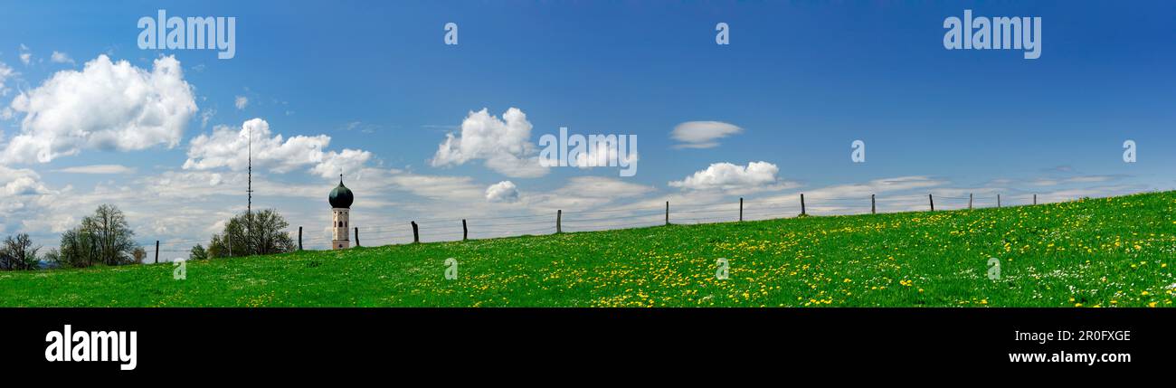 Vue sur la prairie de pissenlits jusqu'à la flèche baroque, haute-Bavière, Bavière, Allemagne Banque D'Images