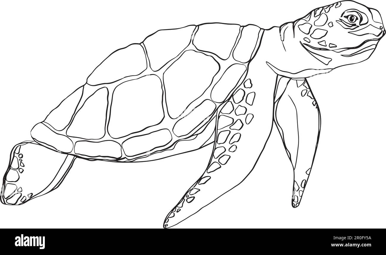 Motif tortue à contour vectoriel. Tortue vectorielle stylisée. Tatouage tortue style. Motif vectoriel de tortue sur fond blanc. Reptile. Animaux Illustration de Vecteur