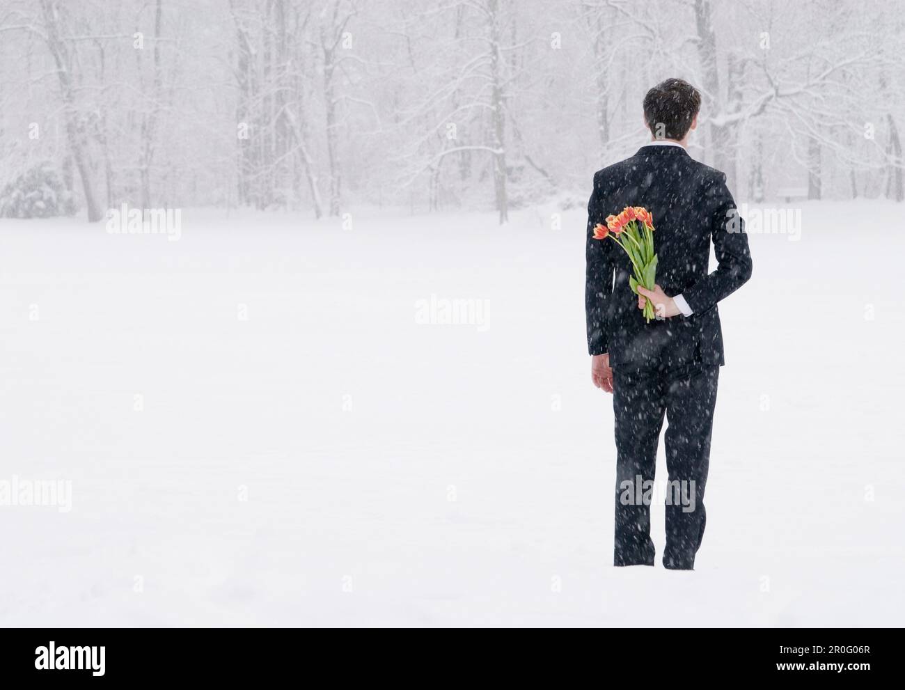 Homme d'affaires dans une tempête de neige cachant un bouquet de tulipes derrière son dos, jardin anglais, Munich, Bavière, Allemagne Banque D'Images