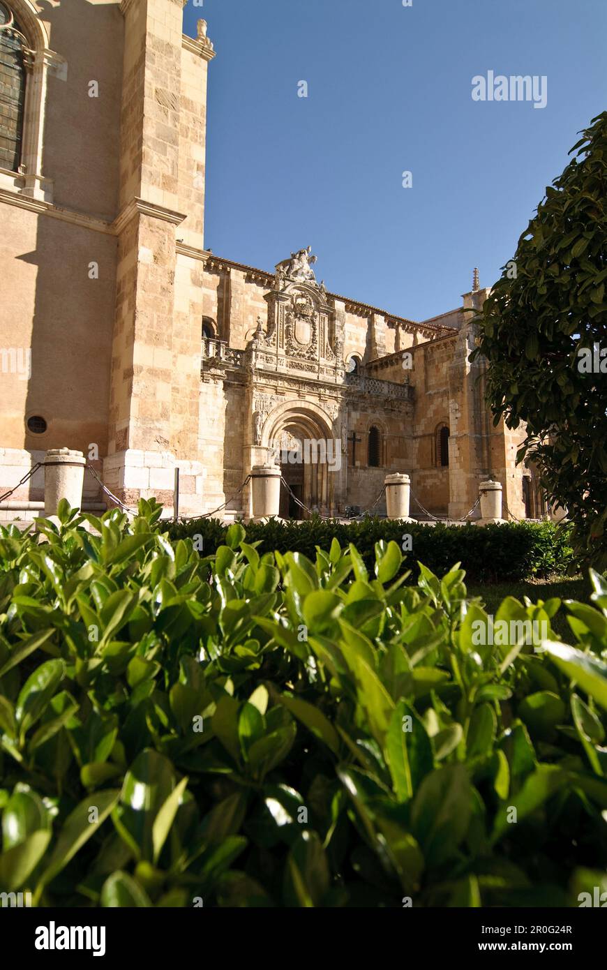 Basilique de San Isidoro, Leon, Castille et Leon, Espagne Banque D'Images