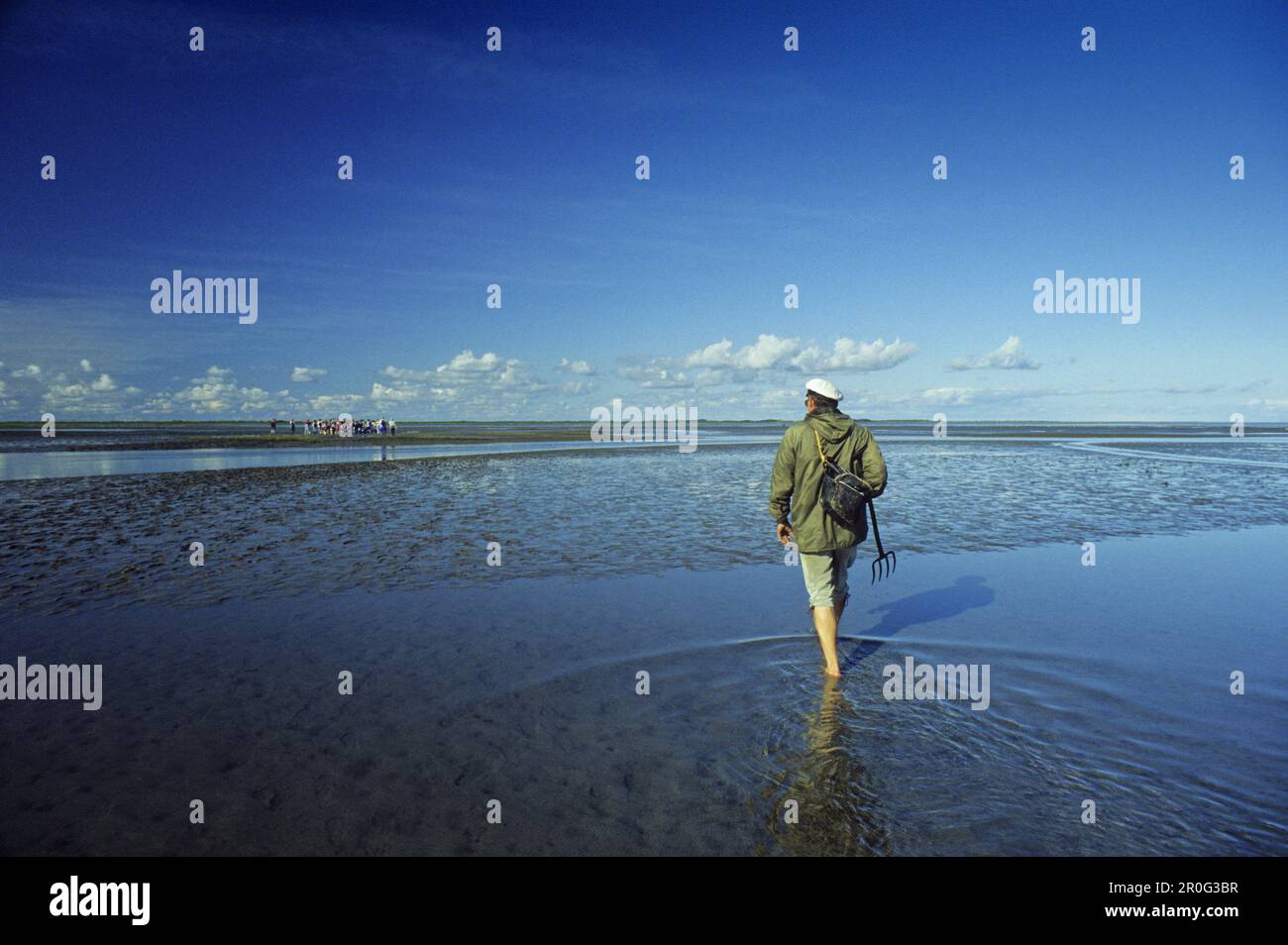 Traversez les vasières, l'île de Borkum, la Basse-Saxe, l'Allemagne Banque D'Images