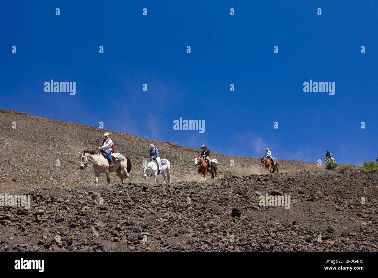 Equitation au cratère du volcan Haleakala, Maui, Hawaii, États-Unis Banque D'Images