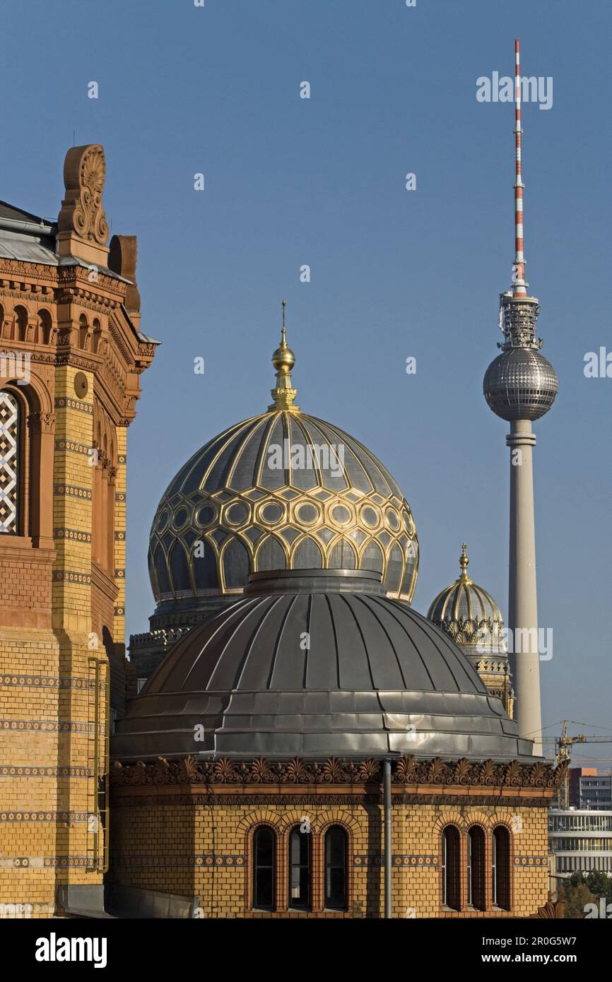 Centrum Judaicum, Nouvelle synagogue, tour de télévision en arrière-plan, Berlin, Allemagne Banque D'Images